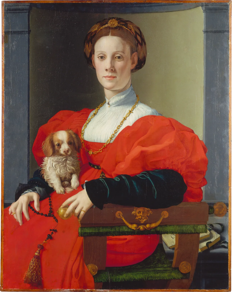 Portrait of a Lady with a Pet Dog - Bronzino