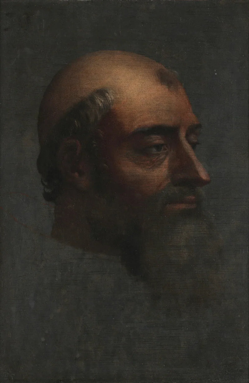 Portrait of Clement VII with beard - Sebastiano del Piombo
