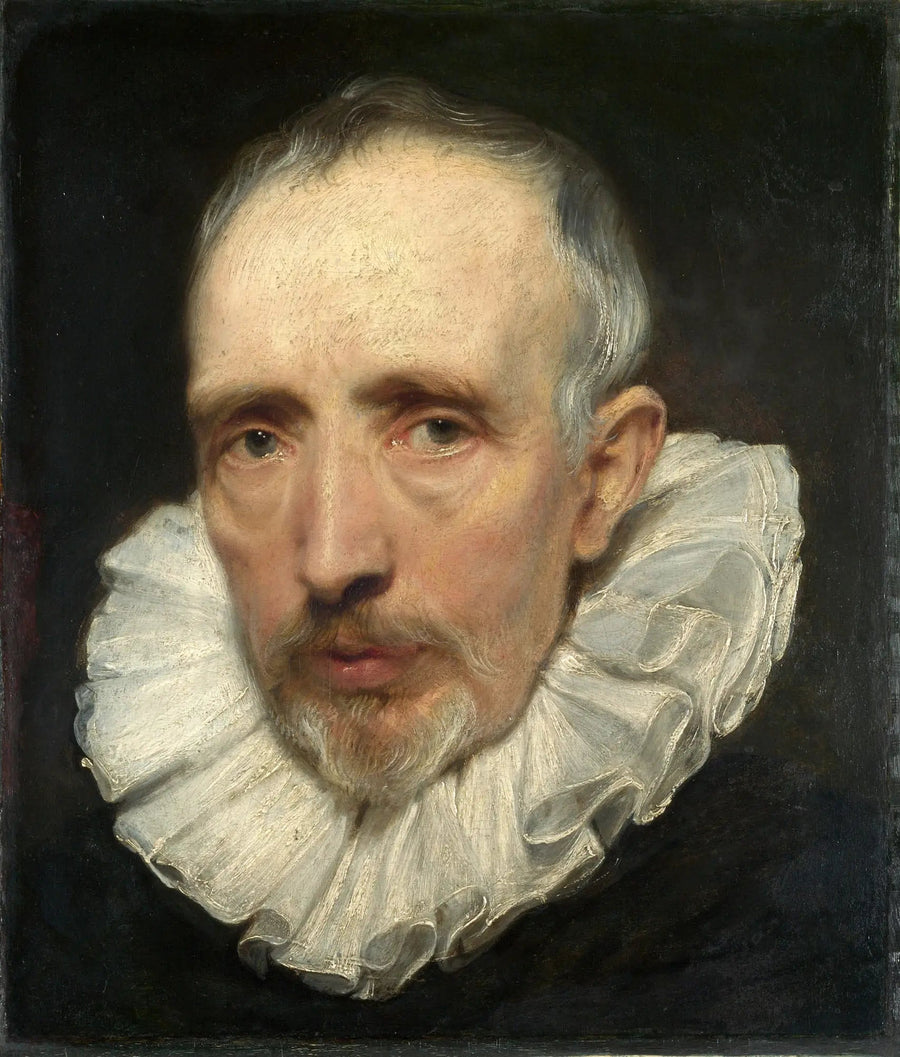 Portrait of Cornelis van der Geest - Antoine van Dyck