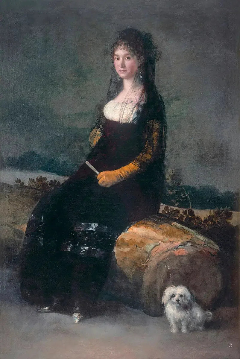 Portrait of Joaquina Candado Ricarte - Francisco de Goya