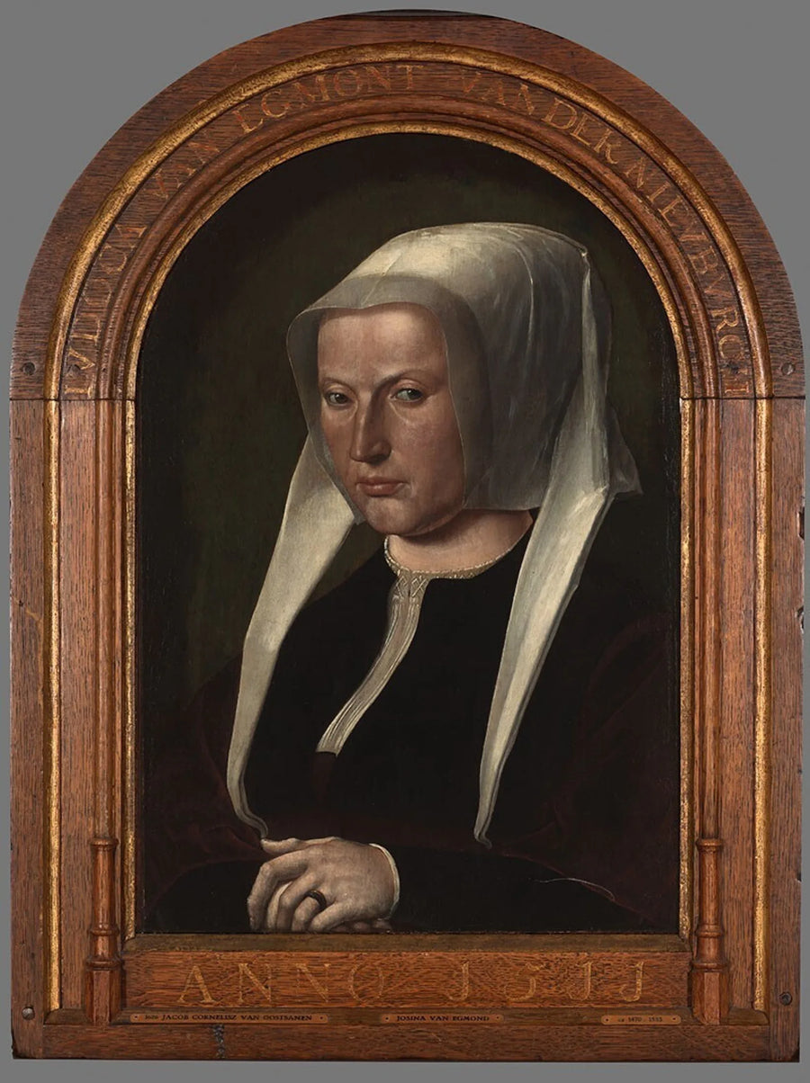 Portrait of Judoka van Egmond van der Nieuburgh - Jacob Cornelisz van Oostsanen