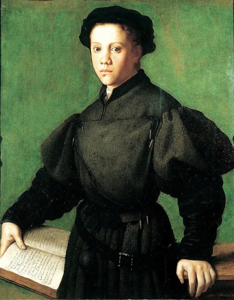 Portrait of Lorenzo Lenzi - Bronzino