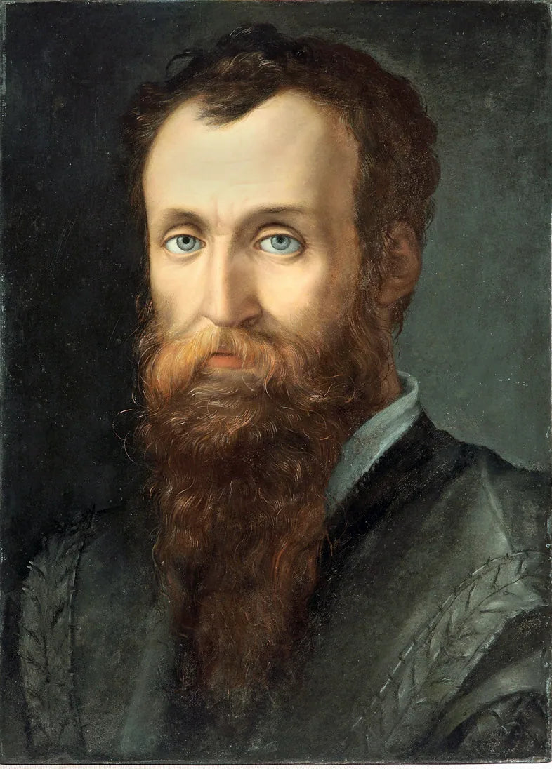 Portrait of Luca Martini - Bronzino