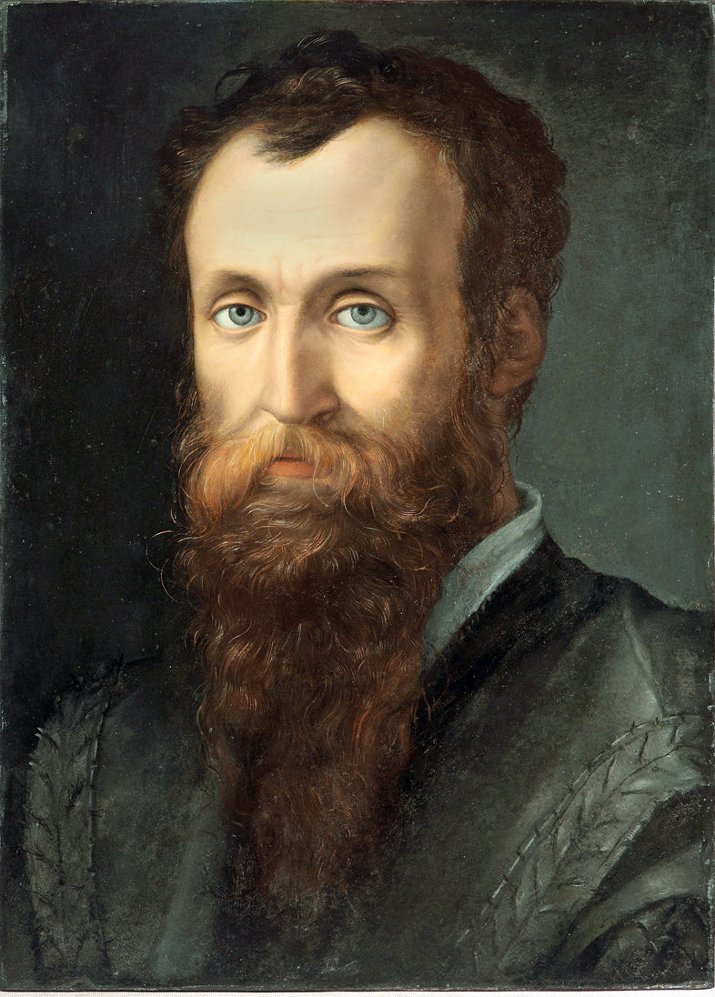 Portrait of Luca Martini - Bronzino