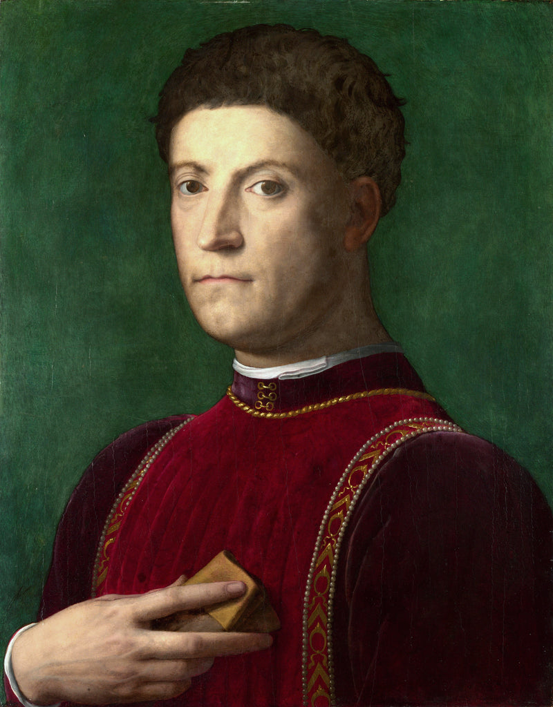 Portrait of Piero de' Medici - Bronzino