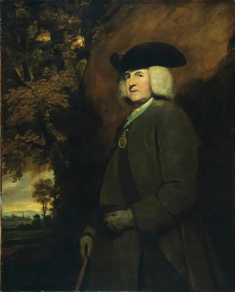 Portrait of Richard Robinson - Joshua Reynolds