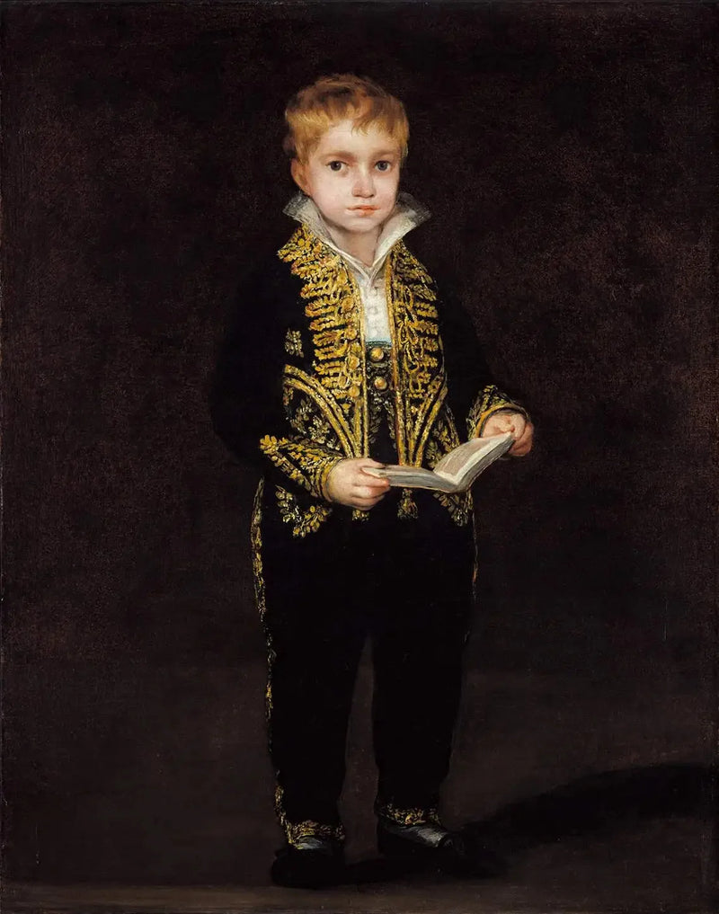 Portrait of Victor Guye - Francisco de Goya