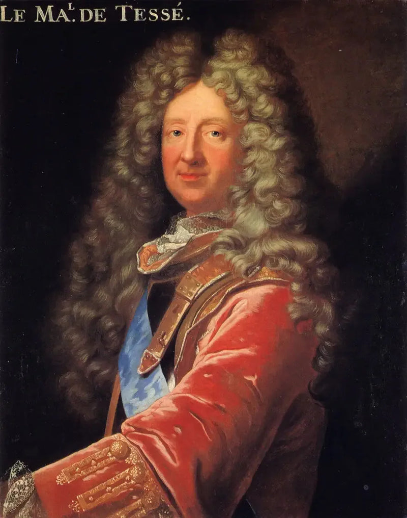 Portrait of Marshal de Tessé - Hyacinthe Rigaud