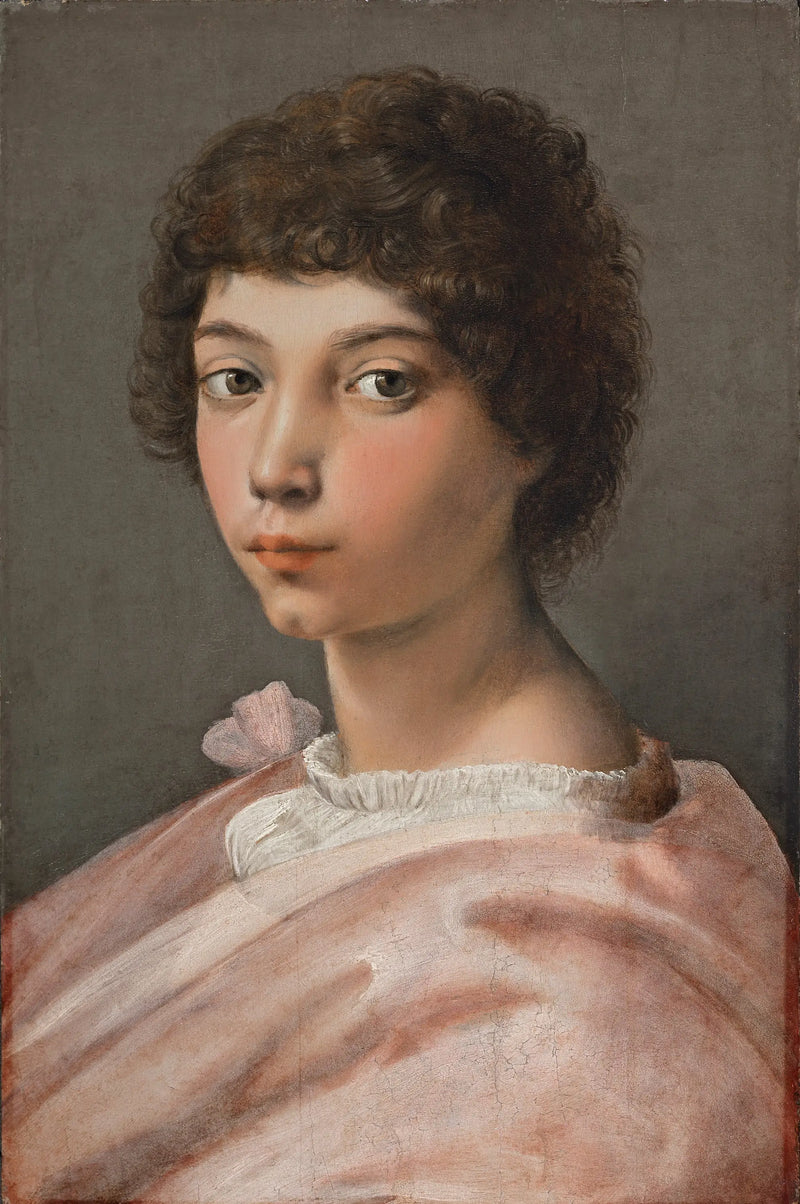 Portrait of a Young Man - Raphael Sanzio