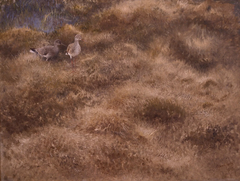 Meadow with sandpipers - Bruno Liljefors