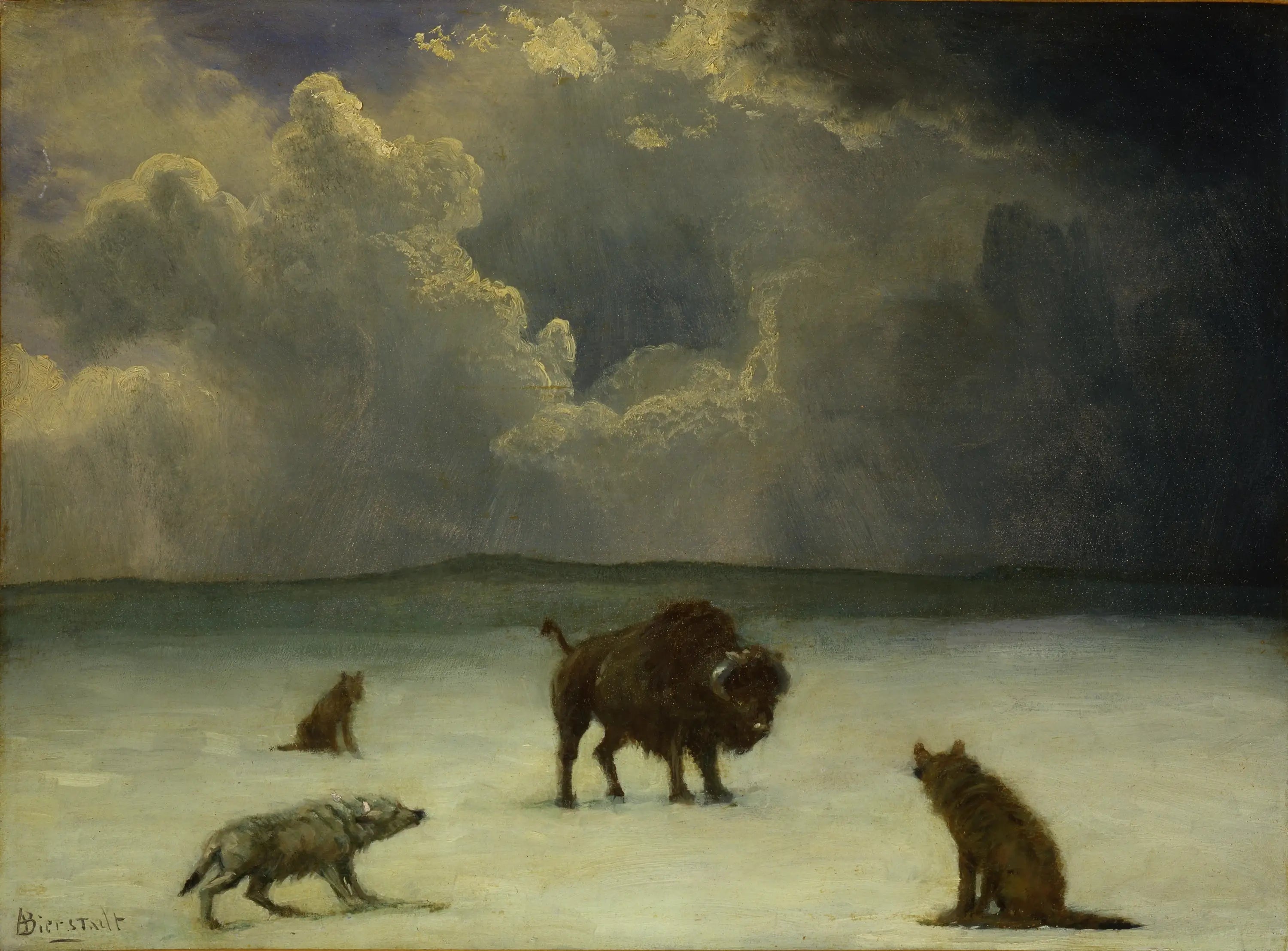 Pris au piège - Albert Bierstadt - Alpha Reproduction