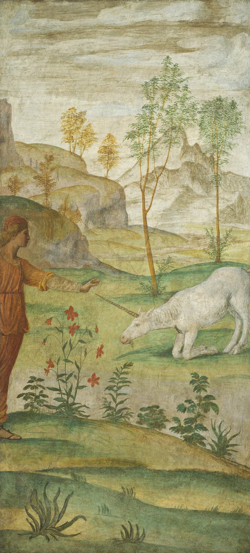 Procris and the Unicorn - Bernardino Luini