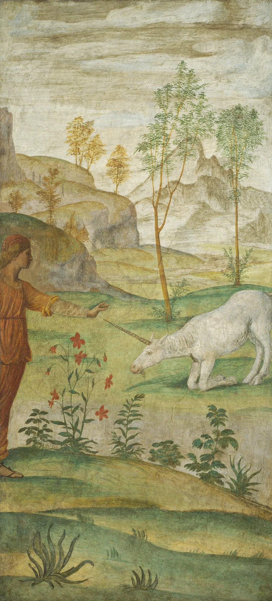Procris and the Unicorn - Bernardino Luini