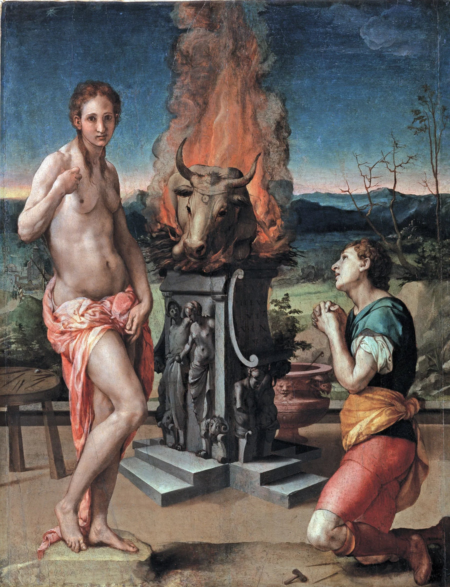 Pygmalion and Galatea - Bronzino