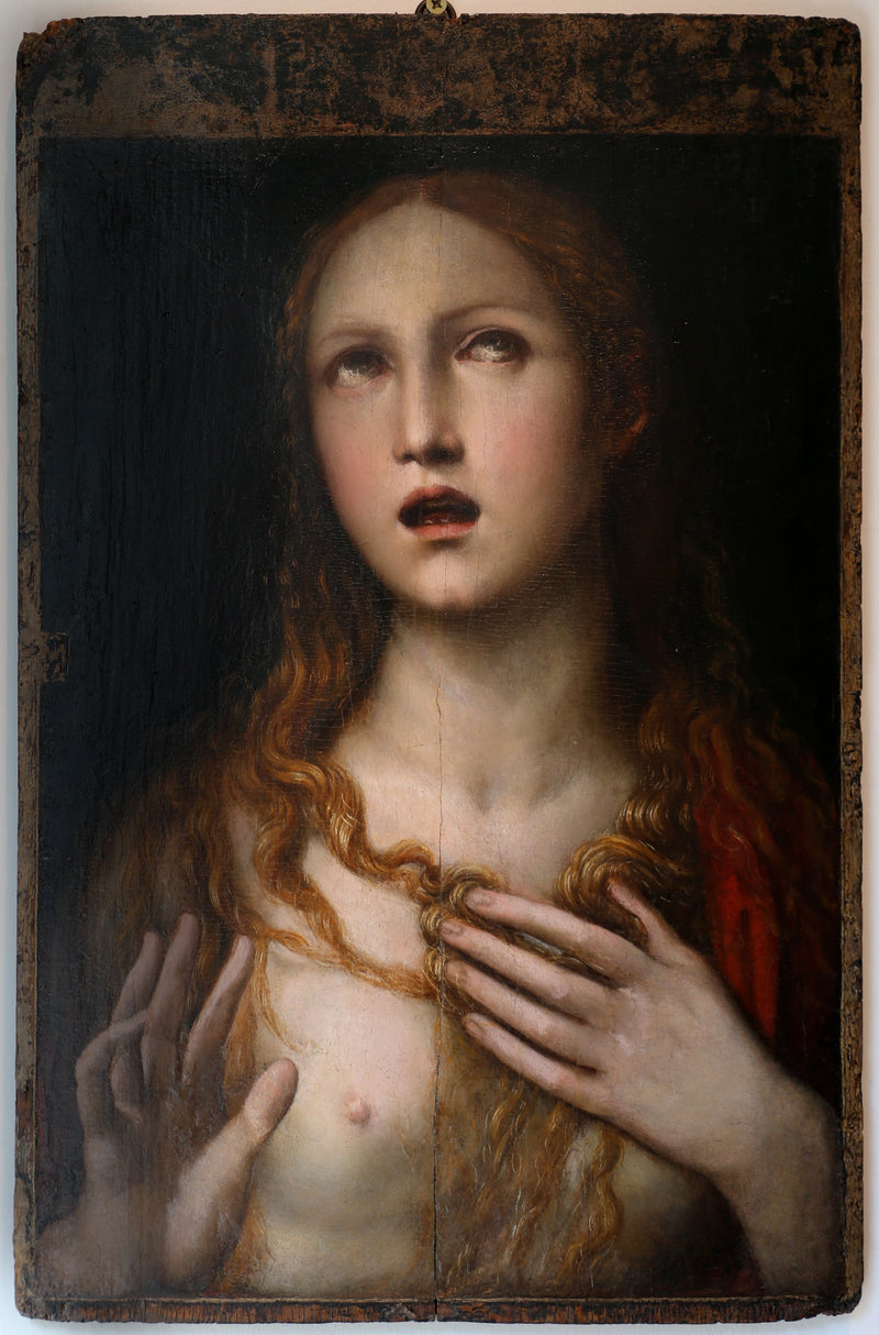 Il Sodoma (Giovanni Antonio Bazzi)