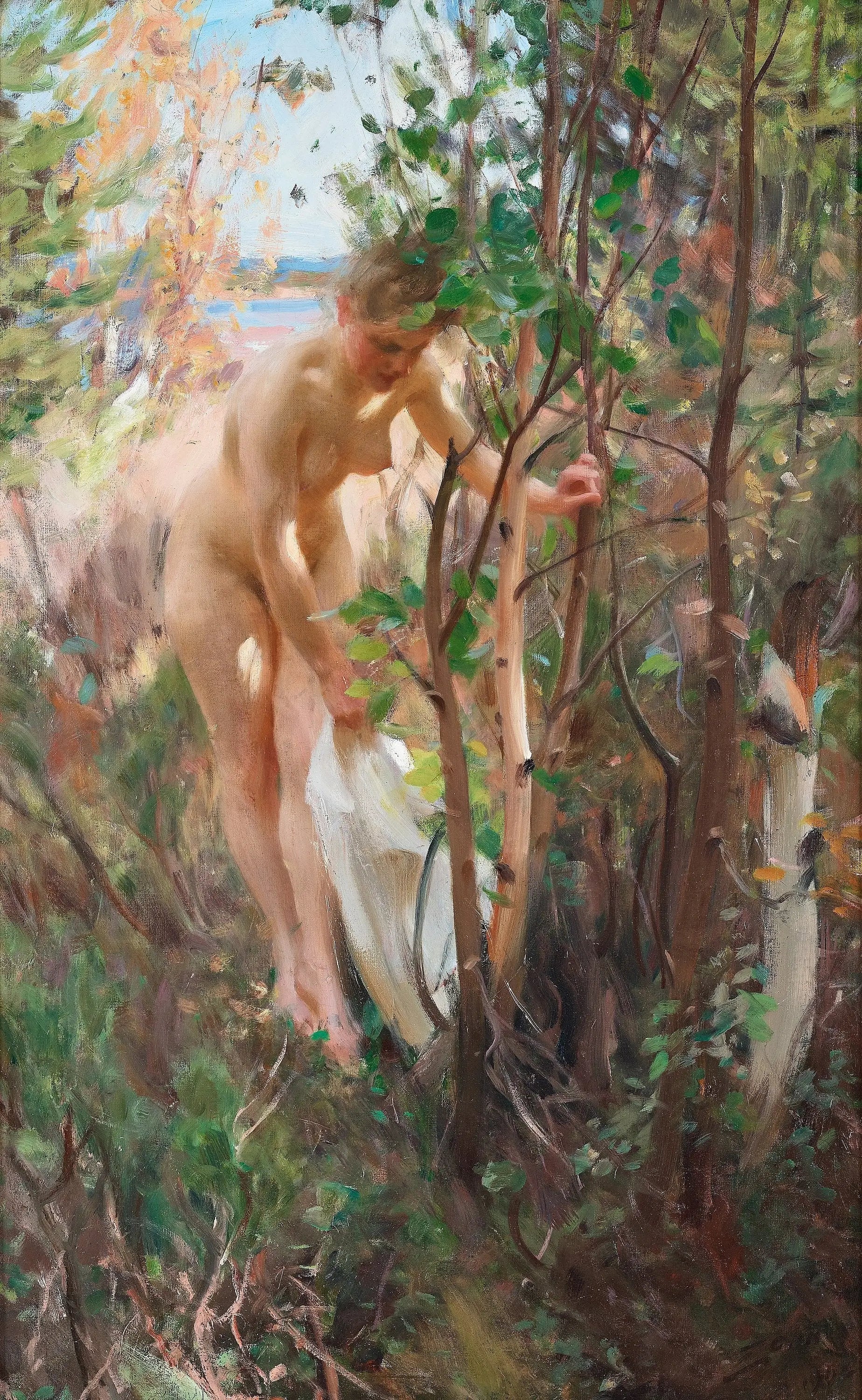 Q125516754 - Anders Zorn - Alpha Reproduction