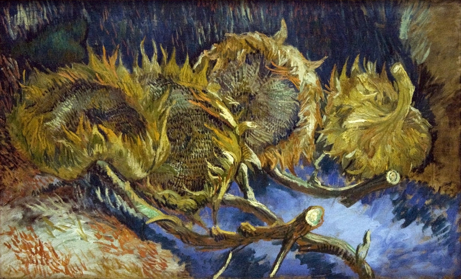 Four Withered Sunflowers - Vincent van Gogh