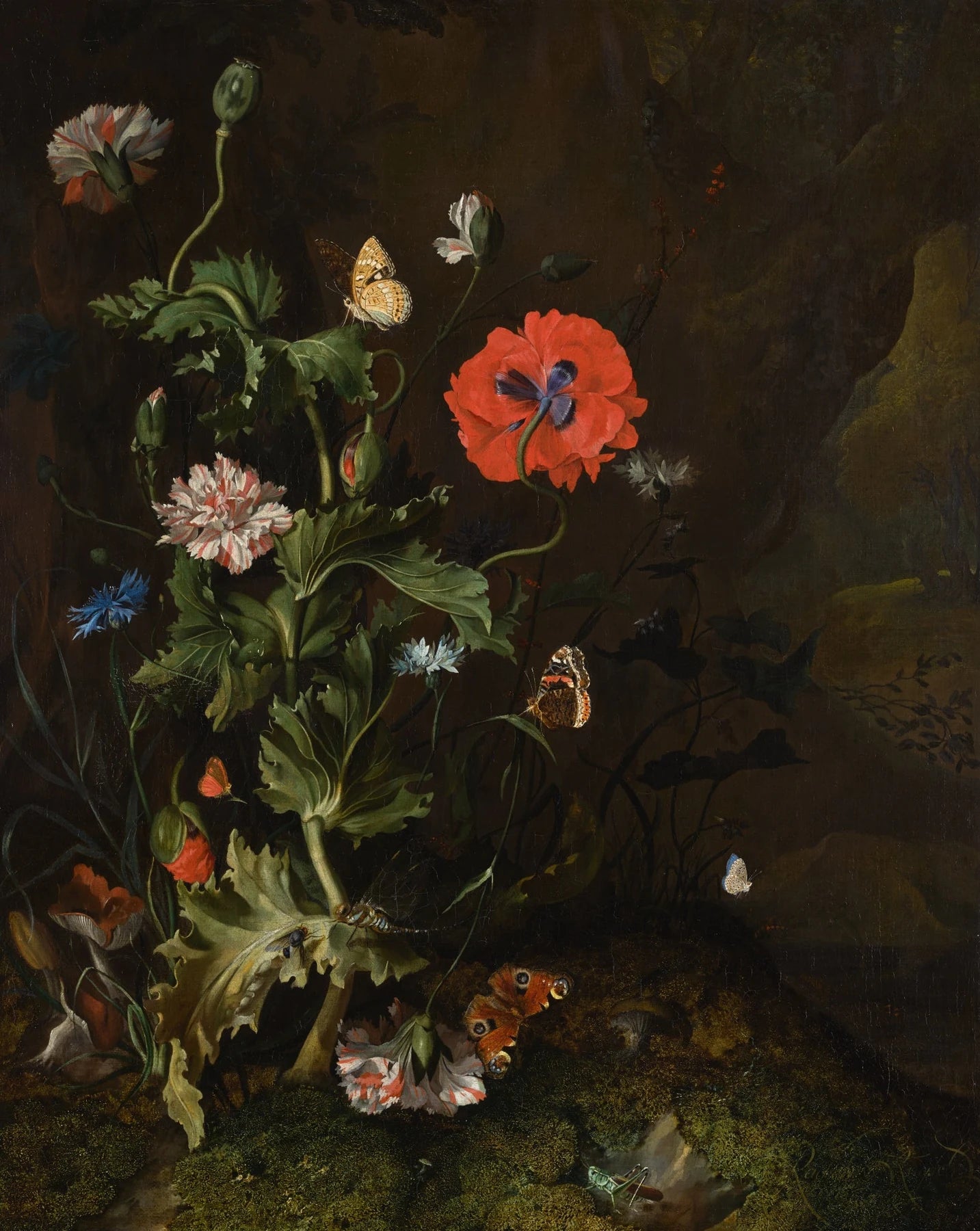 Chardon, œillets et bleuets sur un sol moussu, peinture de Rachel Ruysch