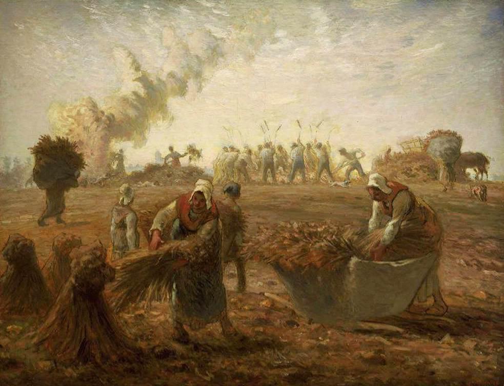 Buckwheat Harvest, Summer - Jean-François Millet