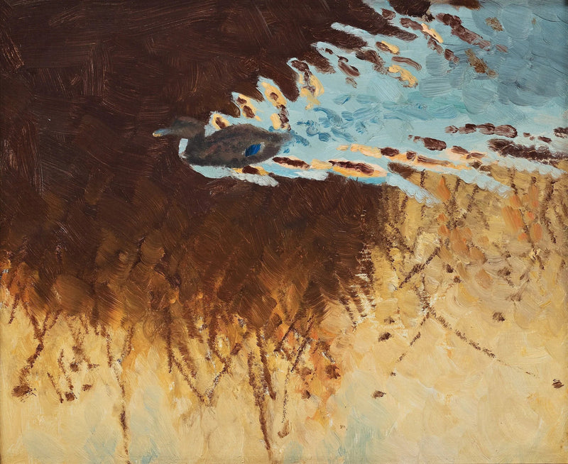 reflections of ducks and water - Bruno Liljefors