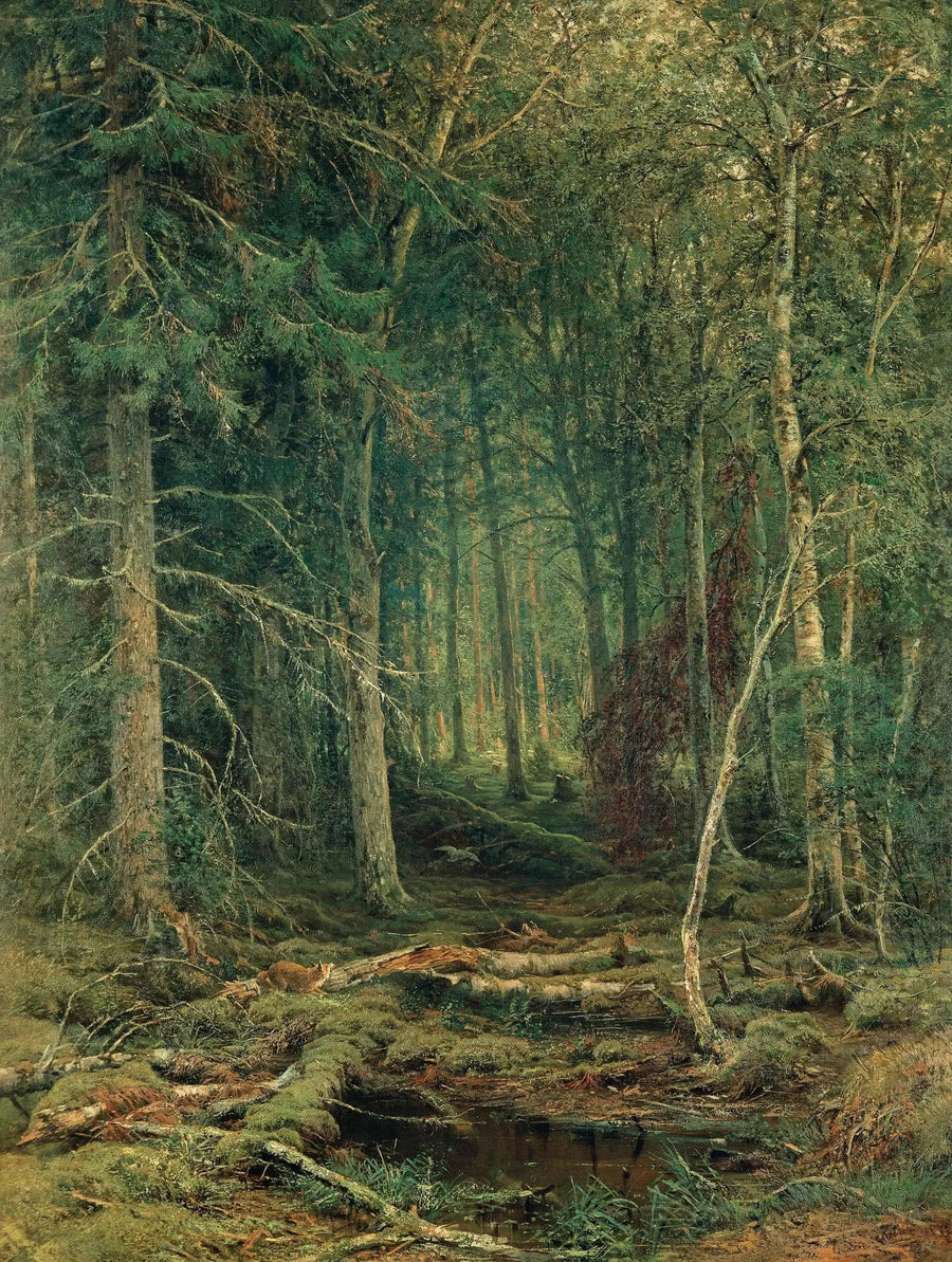 Untapped Forest Region - Ivan Chichkine
