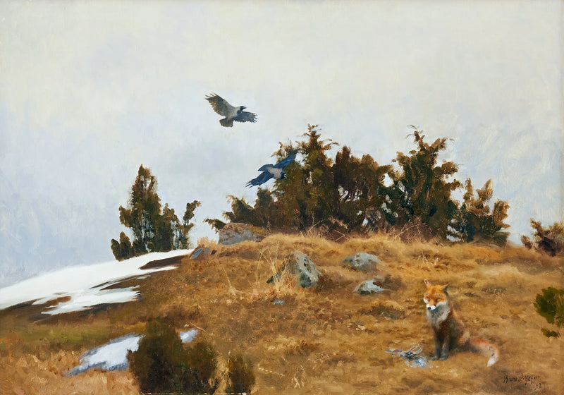 Fox with its prey and crows in a spring-winter landscape - Bruno Liljefors