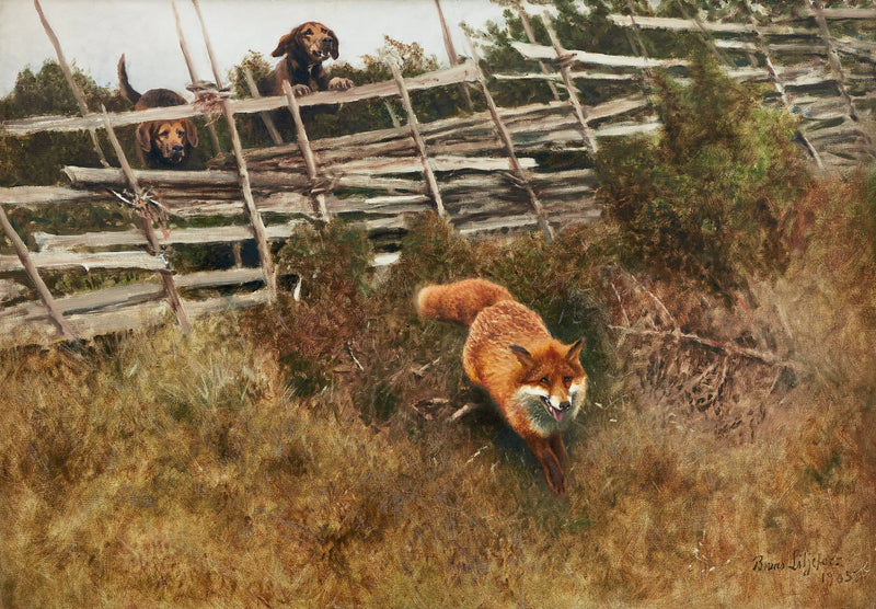 Fox chased by dogs - Bruno Liljefors