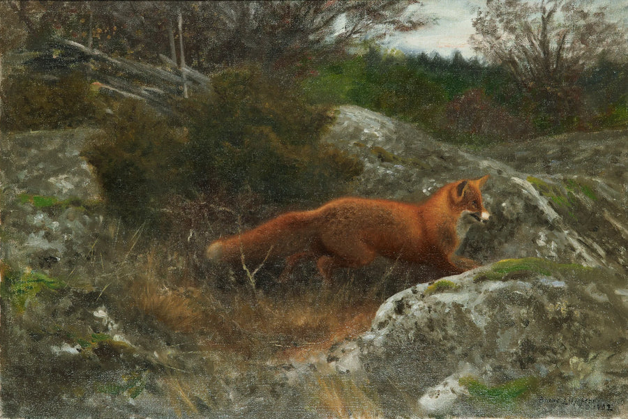 Fox in an Autumn Landscape - Bruno Liljefors