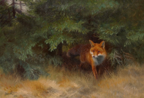 Fox in a forest landscape - Bruno Liljefors
