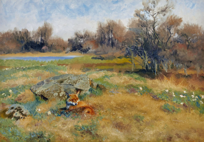 Fox in a flowering spring meadow - Bruno Liljefors