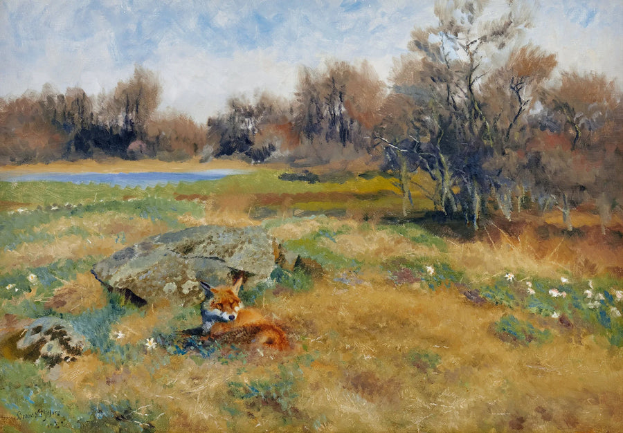 Fox in a flowering spring meadow - Bruno Liljefors