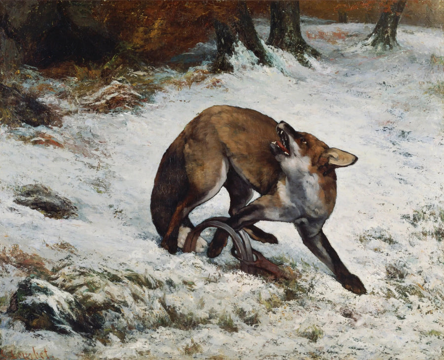 Fox caught in a trap - Gustave Courbet