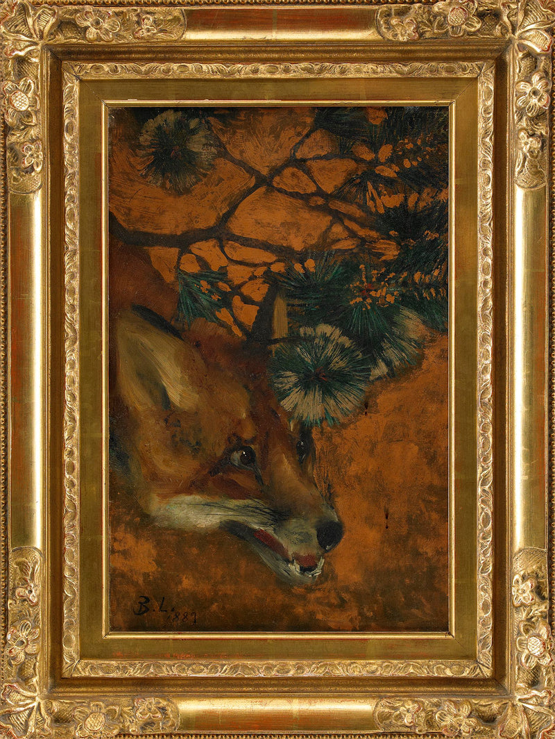 Fox under a pine branch - Bruno Liljefors