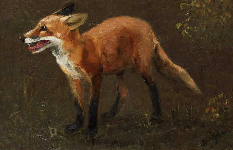Fox cub - Bruno Liljefors