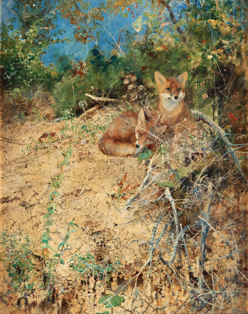 Foxes - Bruno Liljefors