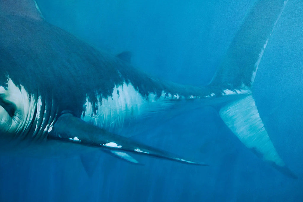 Requin | 150 x 200 cm image 7 reproduction de peinture à l’huile
