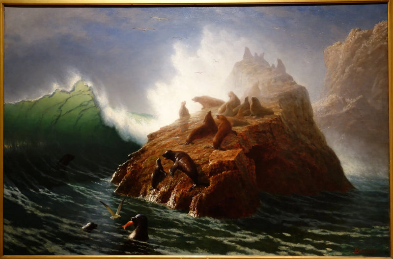 Seal Rock - Albert Bierstadt