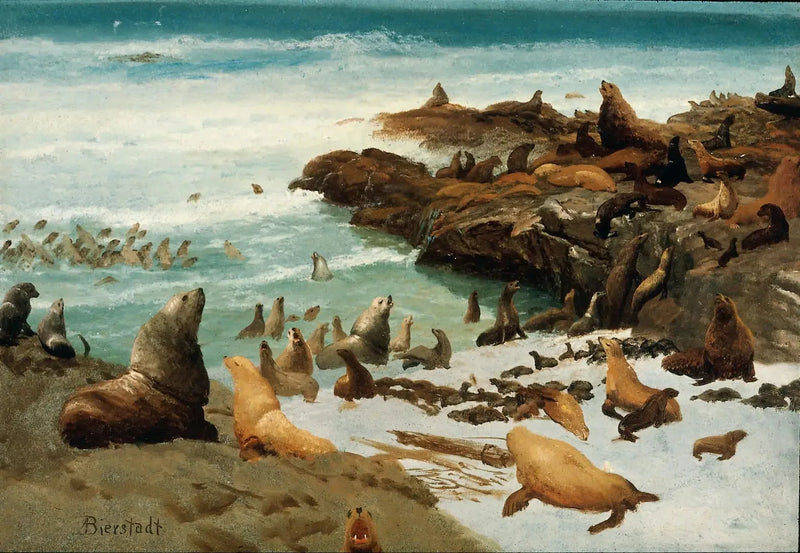 Seal Rocks, Farallons - Albert Bierstadt