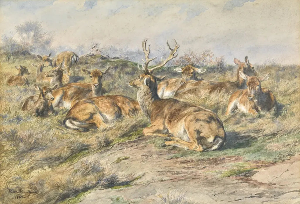 Étude de cerf, peinture de Rosa Bonheur