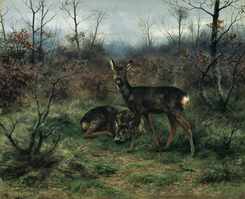 Young deer in a forest clearing - Rosa Bonheur