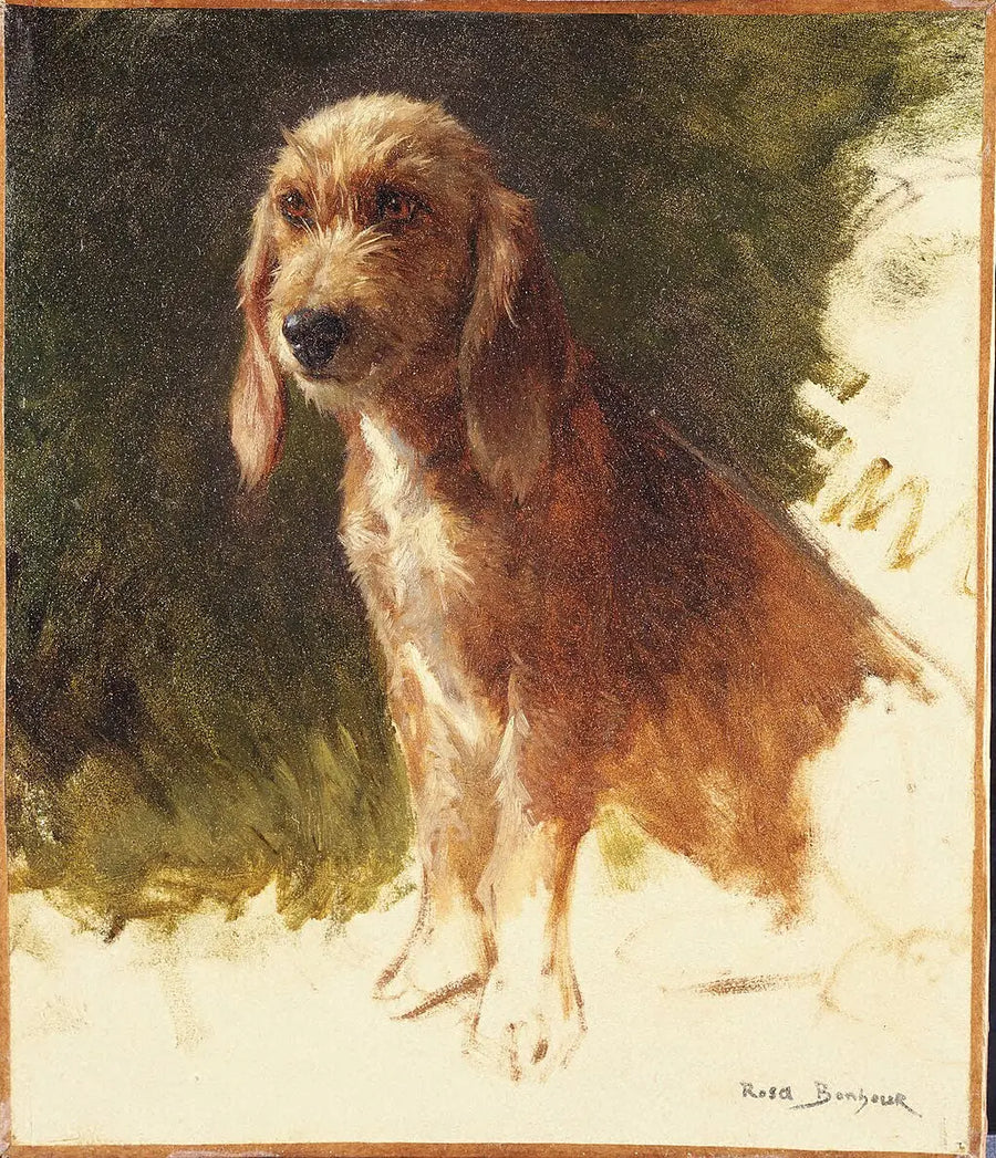 Study of a Dog, peinture de Rosa Bonheur
