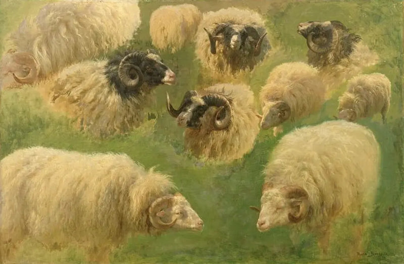 Dix études de bélier - Rosa Bonheur