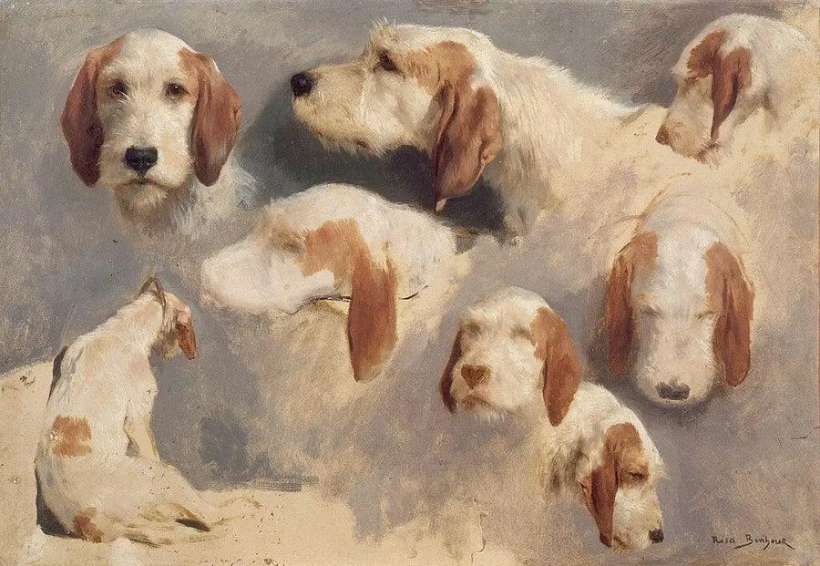 Sept études de têtes de chiens courant et un chien courant vu de dos, peinture de Rosa Bonheur