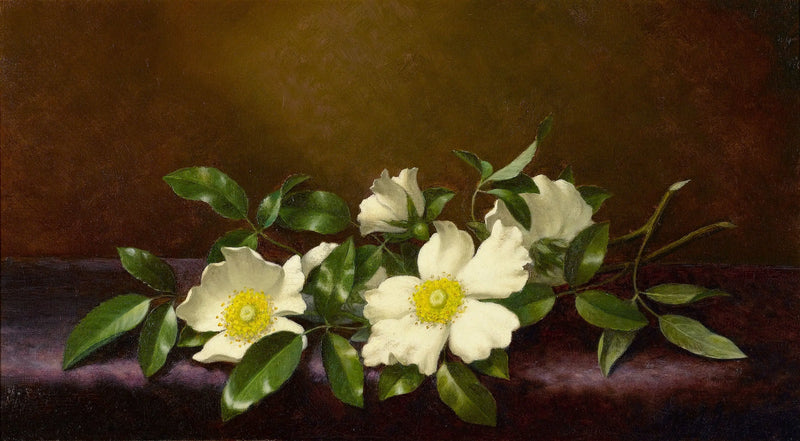 Cherokee Roses on Purple Fabric - Martin Johnson Heade