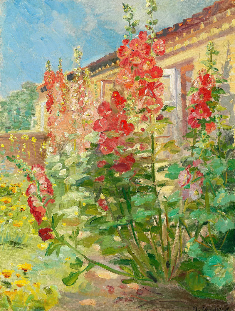 Red hollyhocks in the Ancher family garden in Markvej, Skagen. - Anna Ancher