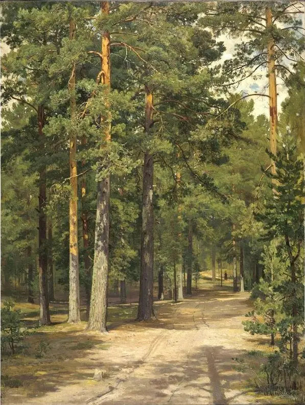 Route dans la forêt de pins - Ivan Chichkine