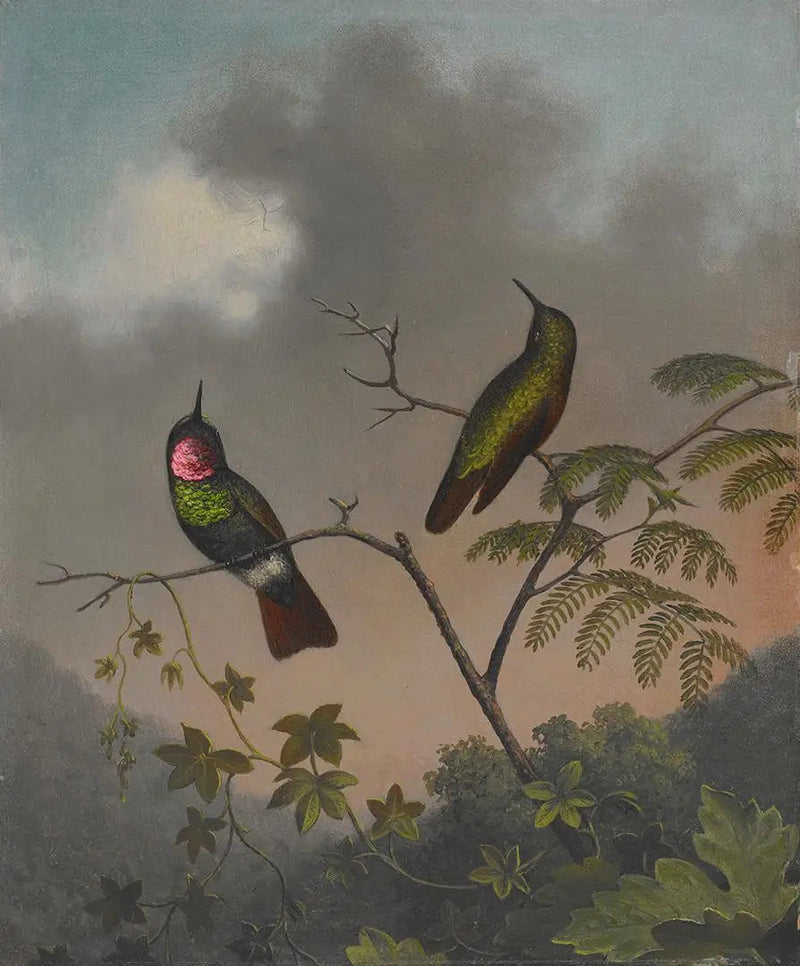 Brazilian Ruby - Martin Johnson Heade