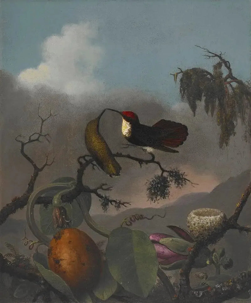 Ruby-Topaz - Martin Johnson Heade