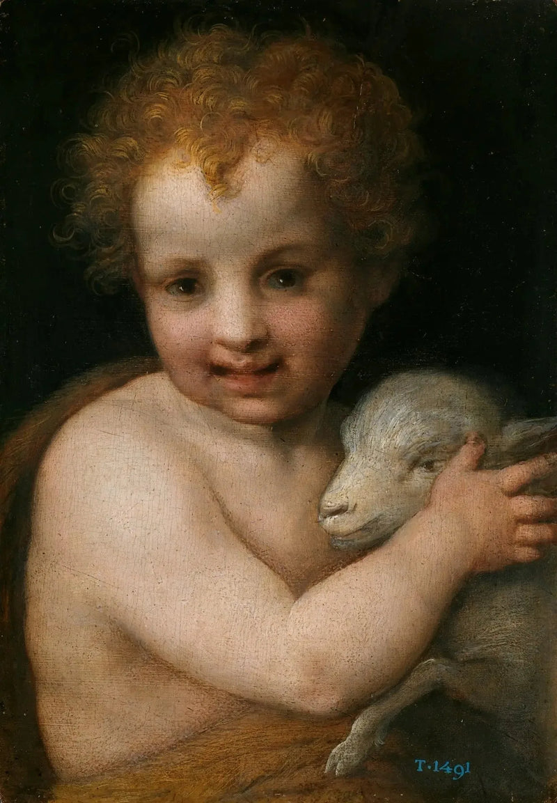 Saint John the Baptist with the Lamb - Andrea del Sarto