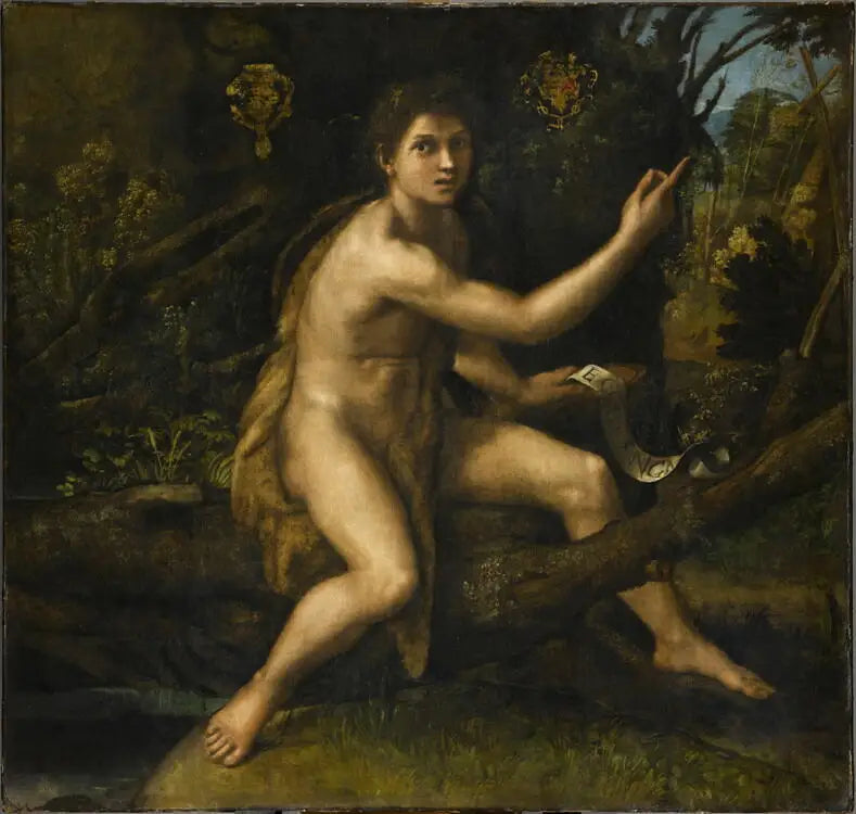 Saint John the Baptist in the Desert - Raphael Sanzio